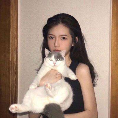 百度四大名捕之震关东手游下载